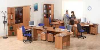 Мебель для персонала Альфа 61 Ольха в Шайдурово - shajdurovo.mebel54.com | фото